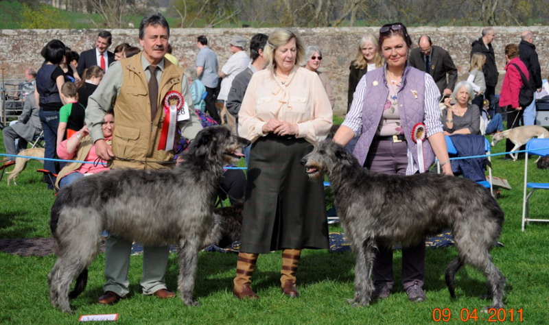 CC Winners Hound Association of Scotland 2011